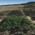 divide-co-land-for-sale-