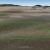 blanca-co-seller-financed-land-