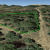 cheap-pine-co-land