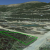 co-cheap-land-for-sale