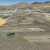 cheap-teller-county-co-land