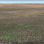 seller-financed-land-in-st-johns-az