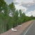 cheap-for-sale-land-in-divide-co