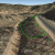 cheap-teller-county-co-land