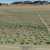 golden-valley-az-cheap-land-sale