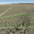 cheap-mohave-county-az-land