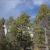 teller-county-land-for-sale-by-owner-
