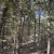 for-sale-land-in-divide-co