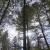 seller-financed-land-in-divide-co