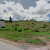 cheap-for-sale-land-in-cripple-creek-co