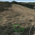 cheap-teller-county-co-land