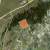 cripple-creek-co-land-deals-